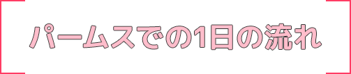 パームスでの1日の流れ
